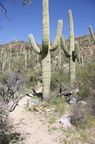 Tucson-Esperero Trail 04
